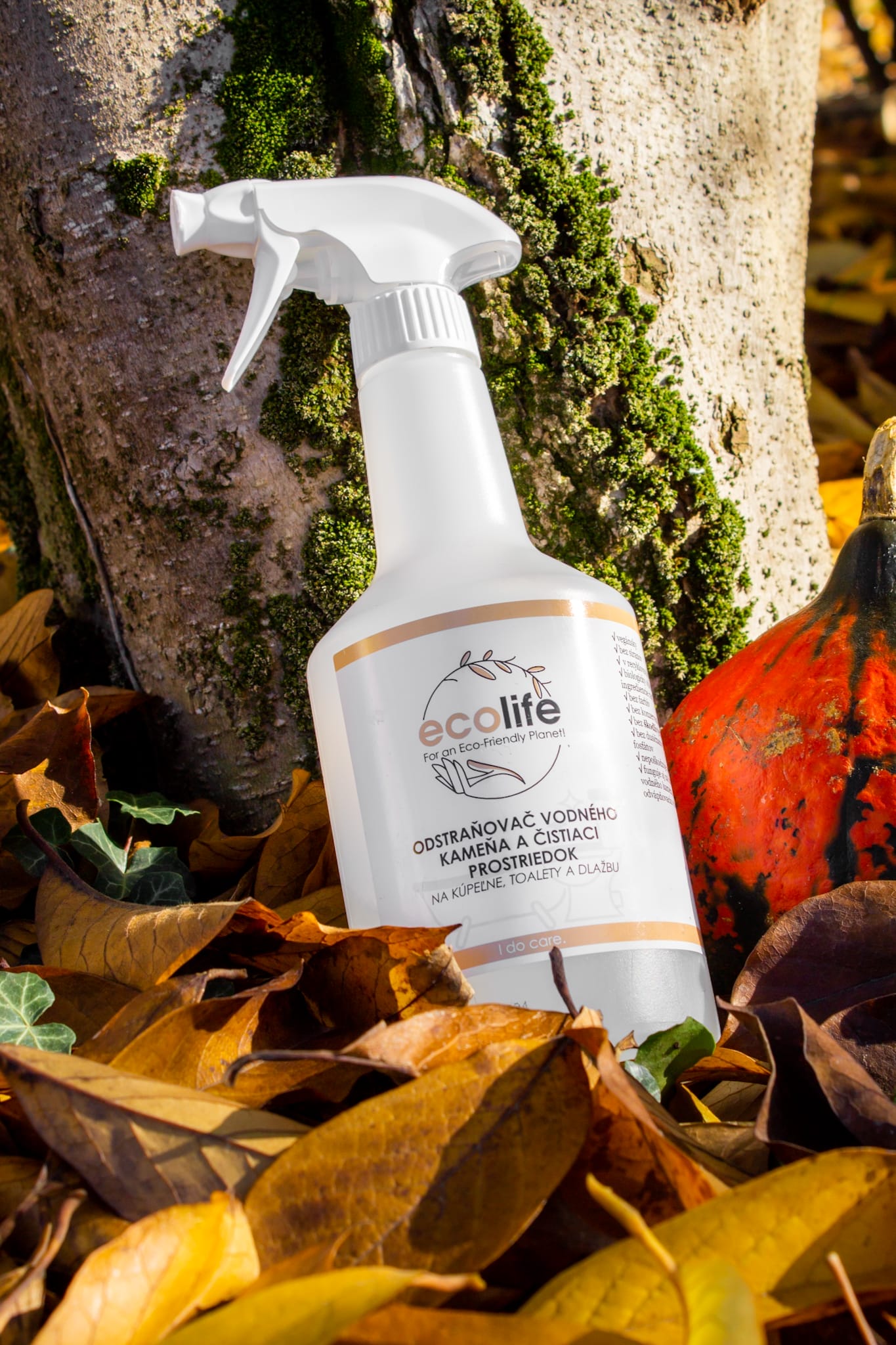 Čistič a odstraňovač vodného kameňa Čistič a odstraňovač vodného kameňa